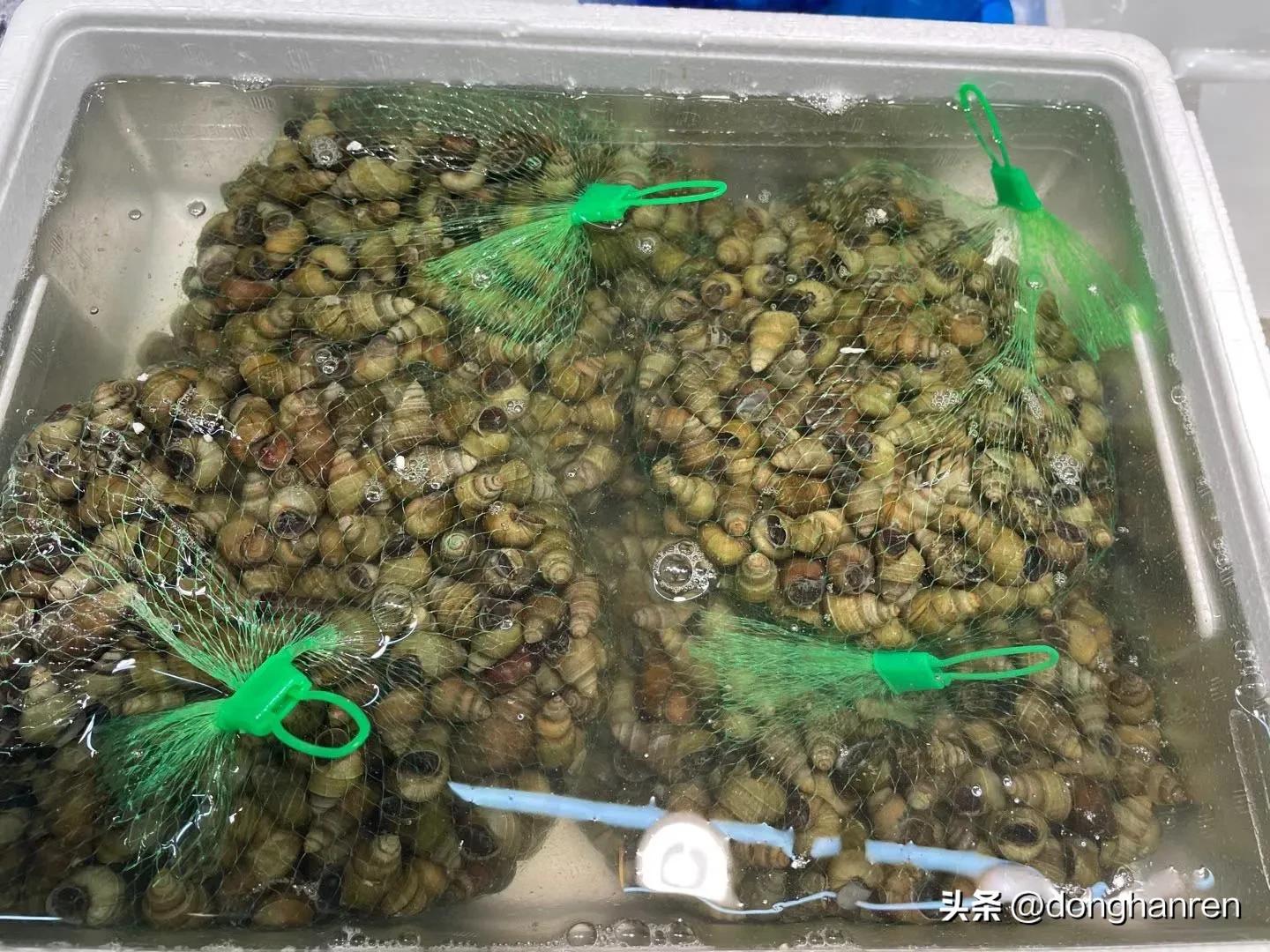 福建人在日本为什么厉害,福建人在日本很出名