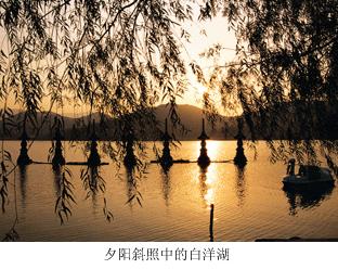 白洋湖畔,慈溪白洋湖旅游攻略