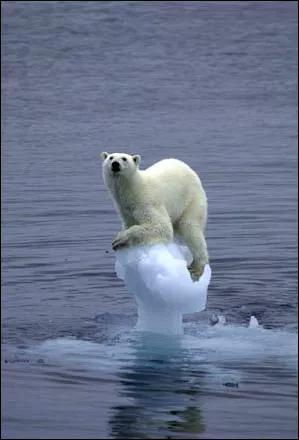 罕见绝美的小动物图片,罕见的动物有趣照片难得一见