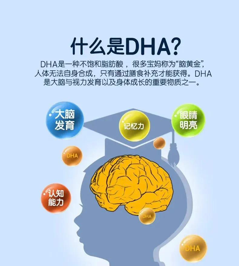 孕期吃dha对胎儿大脑发育最佳,怀孕多久吃dha对胎儿智力发育好