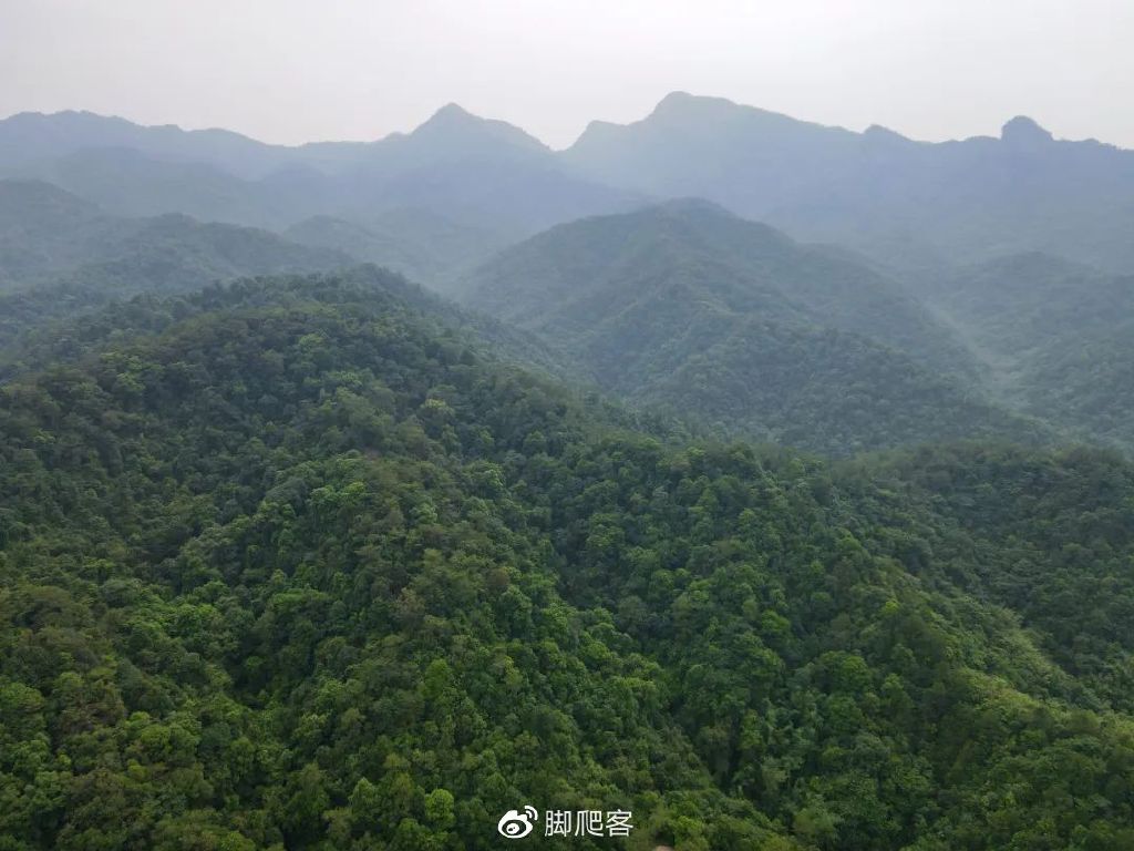 封开黑石顶自然保护区今日关注,广东封开黑石顶省级自然保护区