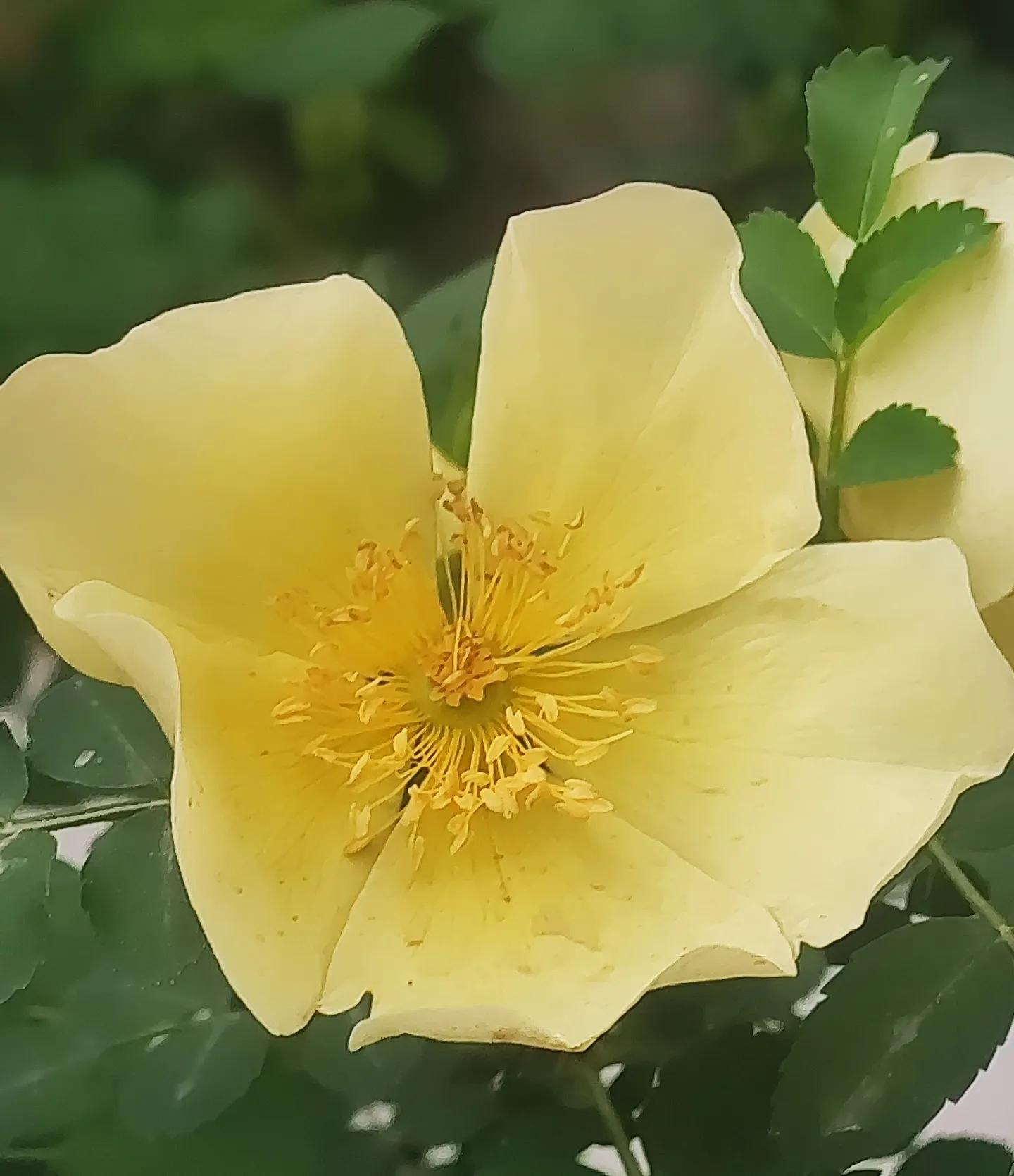 每日一句经典句子简短励志语录,励志语录短句不超过10个字