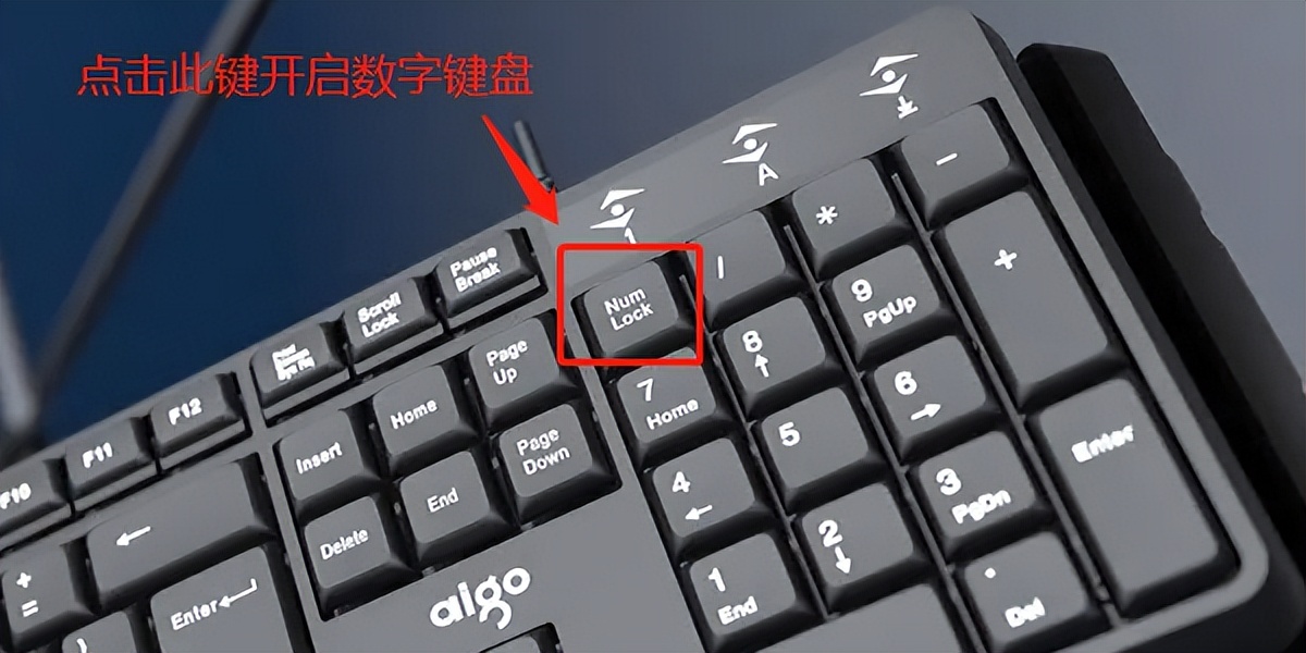 笔记本电脑打不出1-9数字怎么办,电脑打不出1-9数字应该怎么解决