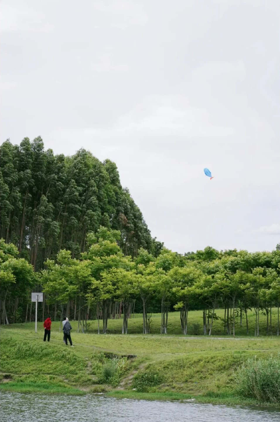 放假去哪里玩又便宜又好玩成都,假期去哪玩便宜又好玩儿成都