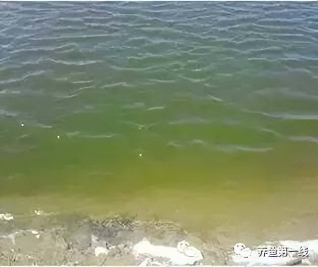 提高水体溶氧量的方法,水体溶氧的正确使用方法