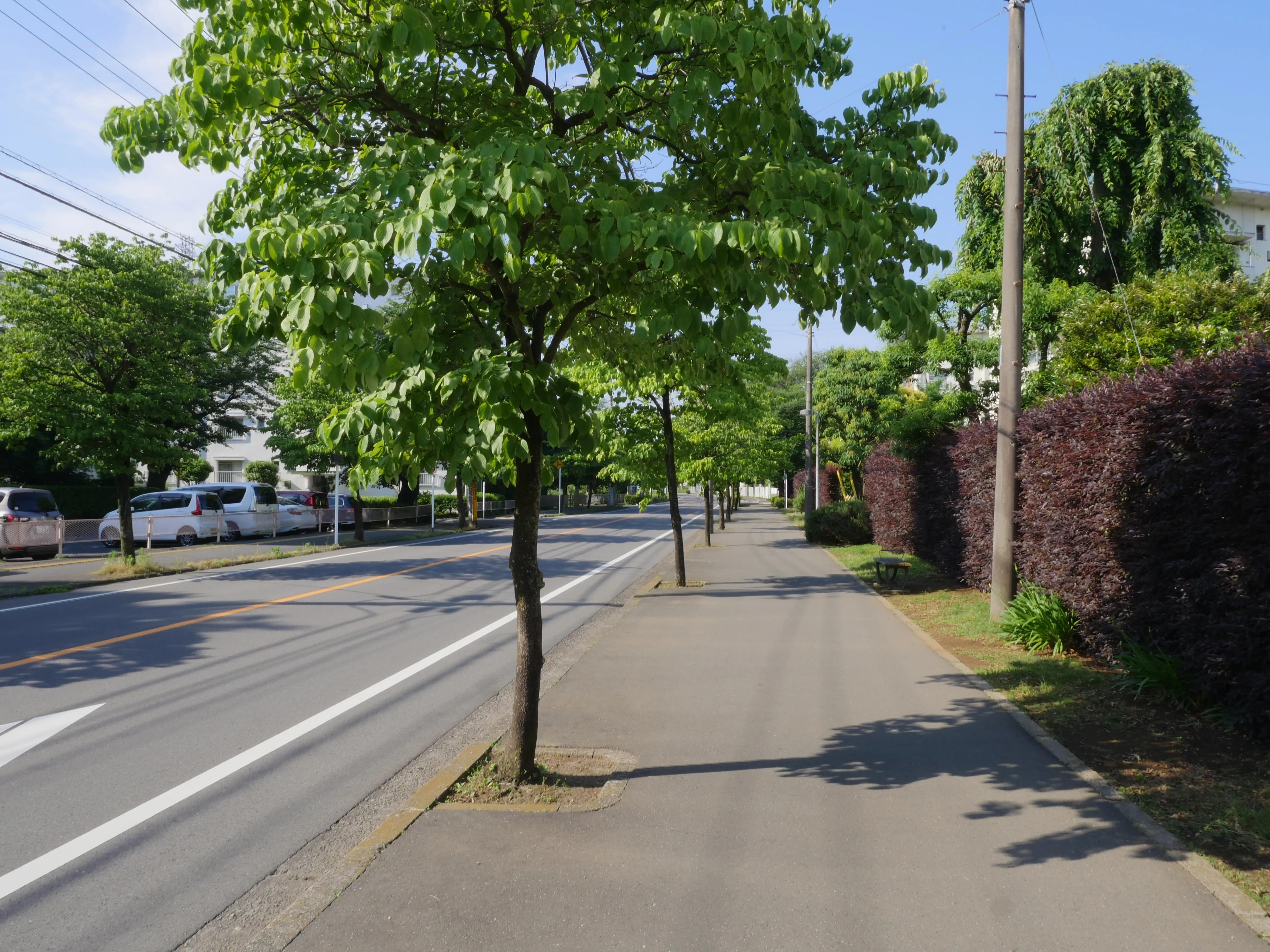 在日本生活花费大的地方,日本东京乡下生活