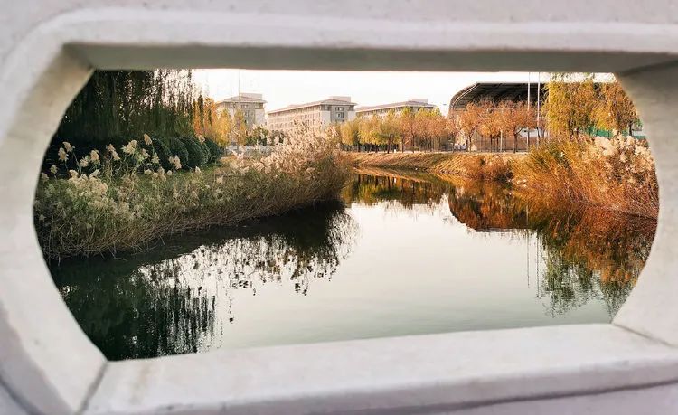 层林尽染的视频号,濮阳医专学历怎么样