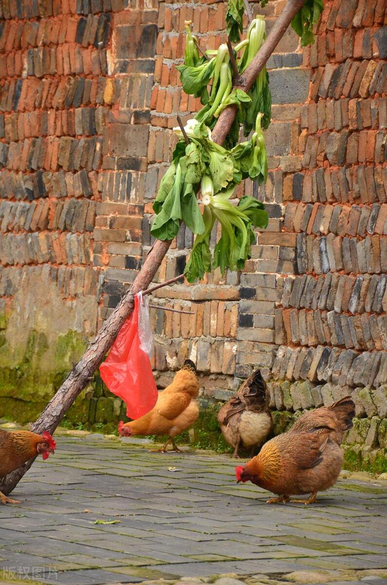 我帮同事带东西还没给我钱怎么办,我帮朋友带东西没给我钱怎么办