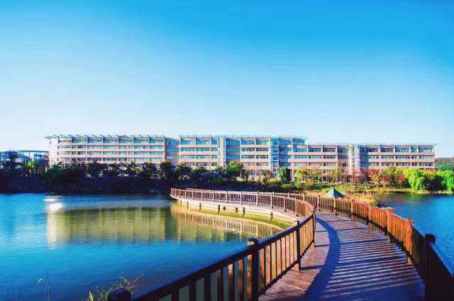 大连外国语大学：毕业生都去哪了？有没有非外语类本科专业？