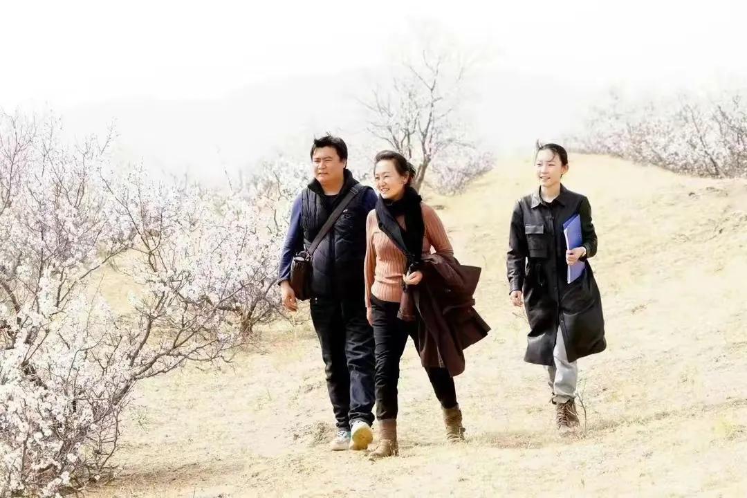 杭州网友花8000买《巴林塔娜》电影票要求高溜出演