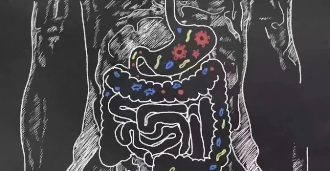 为什么一节食减肥就便秘,节食减肥的人后来怎样了