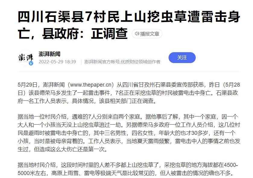 挖虫草遭雷击身亡,挖虫草被雷击的图片