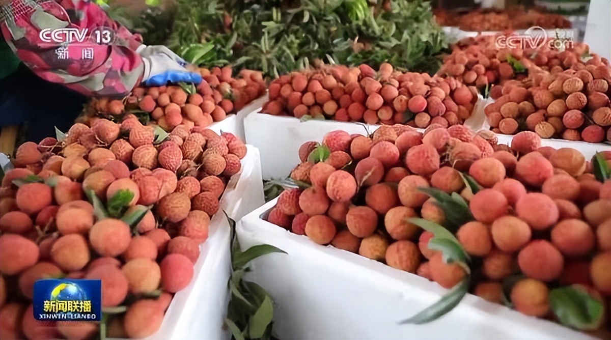 全国快递业务量首破700亿件,全国快递业务量突破400亿件