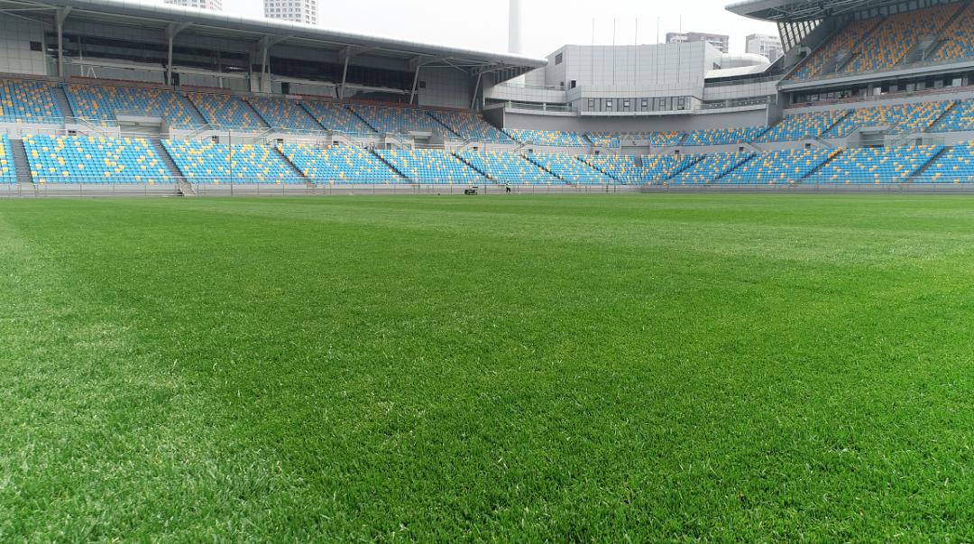 天津市滨海新区泰达足球场比赛,泰达足球场比赛日