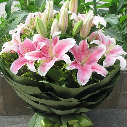 清香淡雅，香水百合的种植方法，以及养护技巧