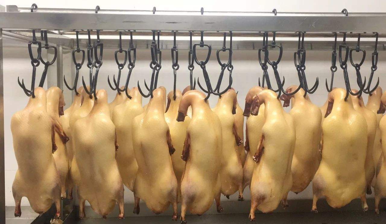 街头烤鸭为什么便宜,烤鸭15元一只的是什么鸭