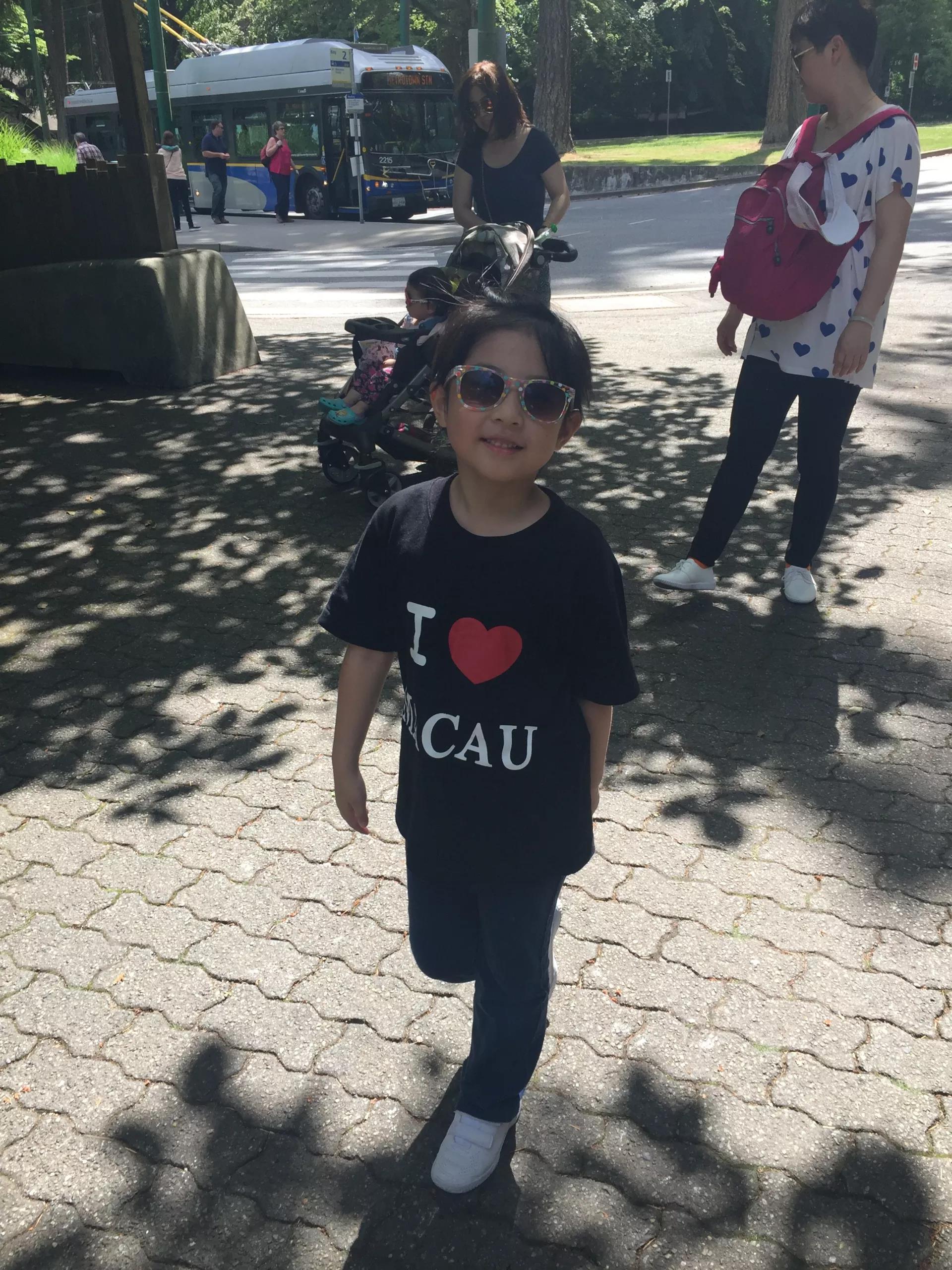 青岛如何带上猫猫去加拿大多伦多,钱猫猫加拿大之旅