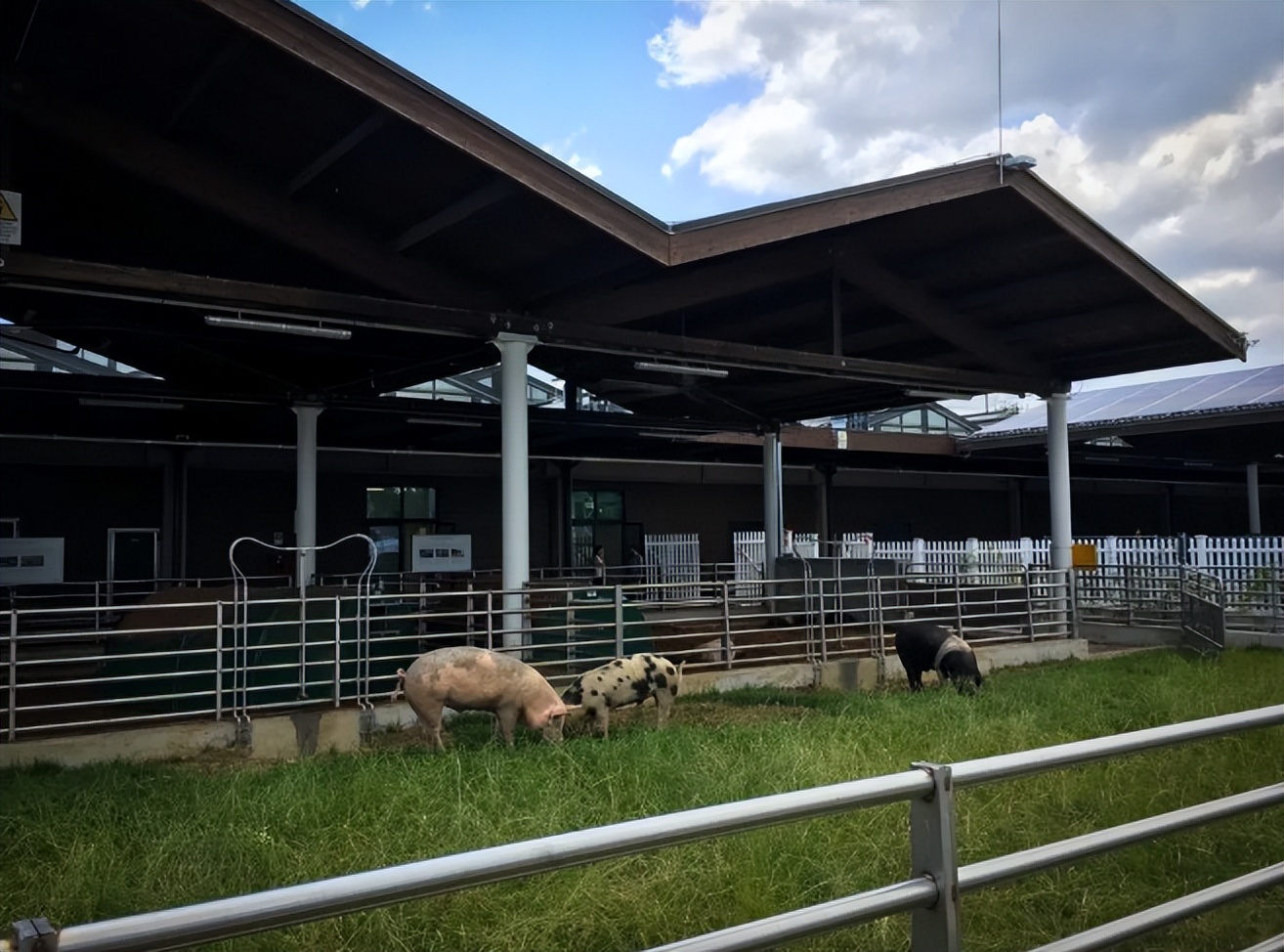 迪士尼乐园二合一美食,世界十大迪士尼乐园美食