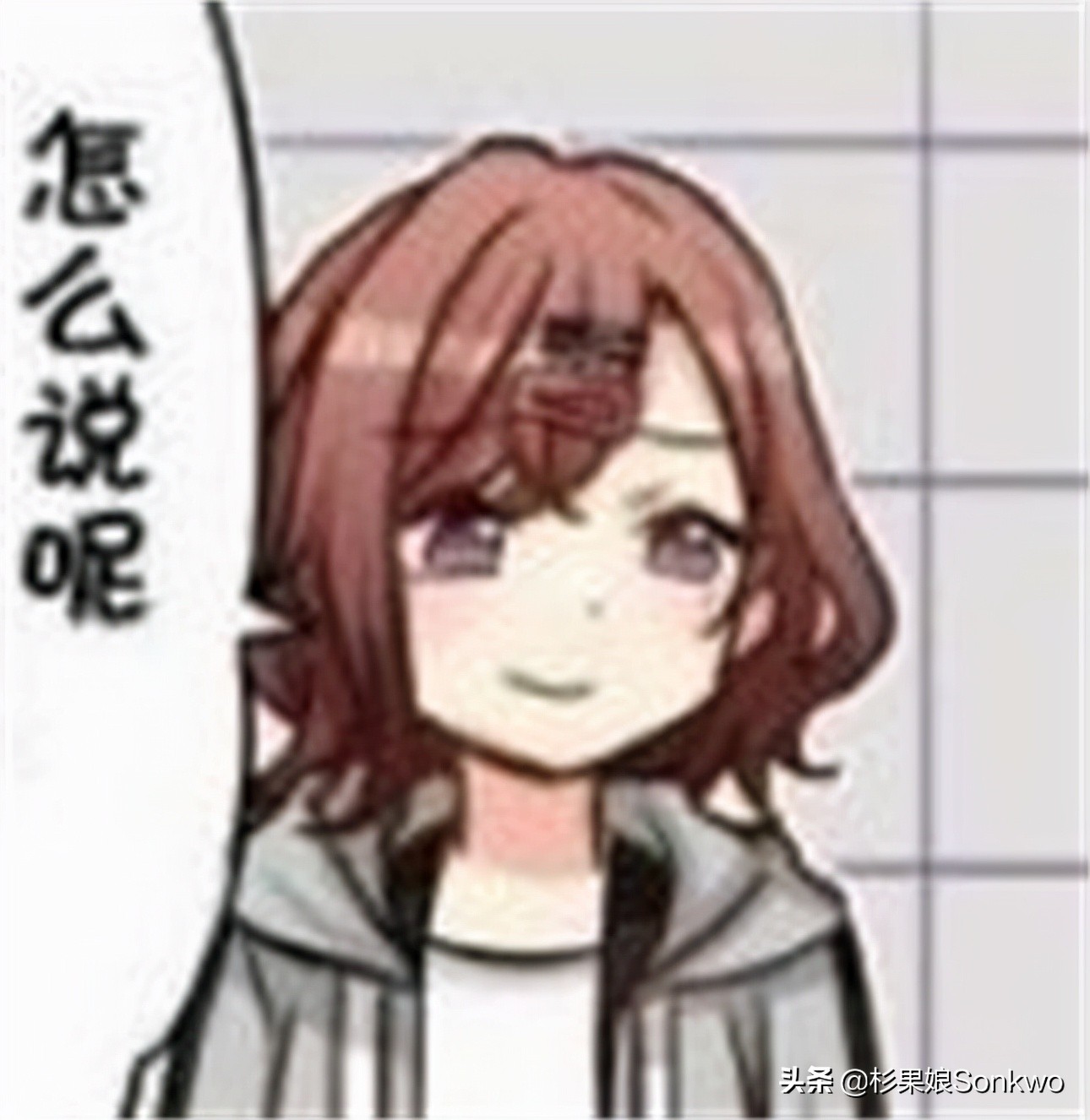 宝可梦珍钻复刻值得吗,一个秘密基地视频