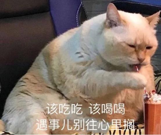 冉静公安进阶课是哪个机构,冉静公安实战课靠谱吗