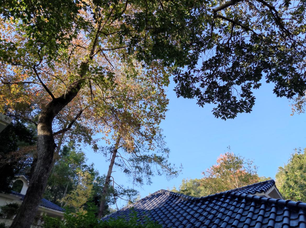 清远避暑温泉山庄,清远森林温泉