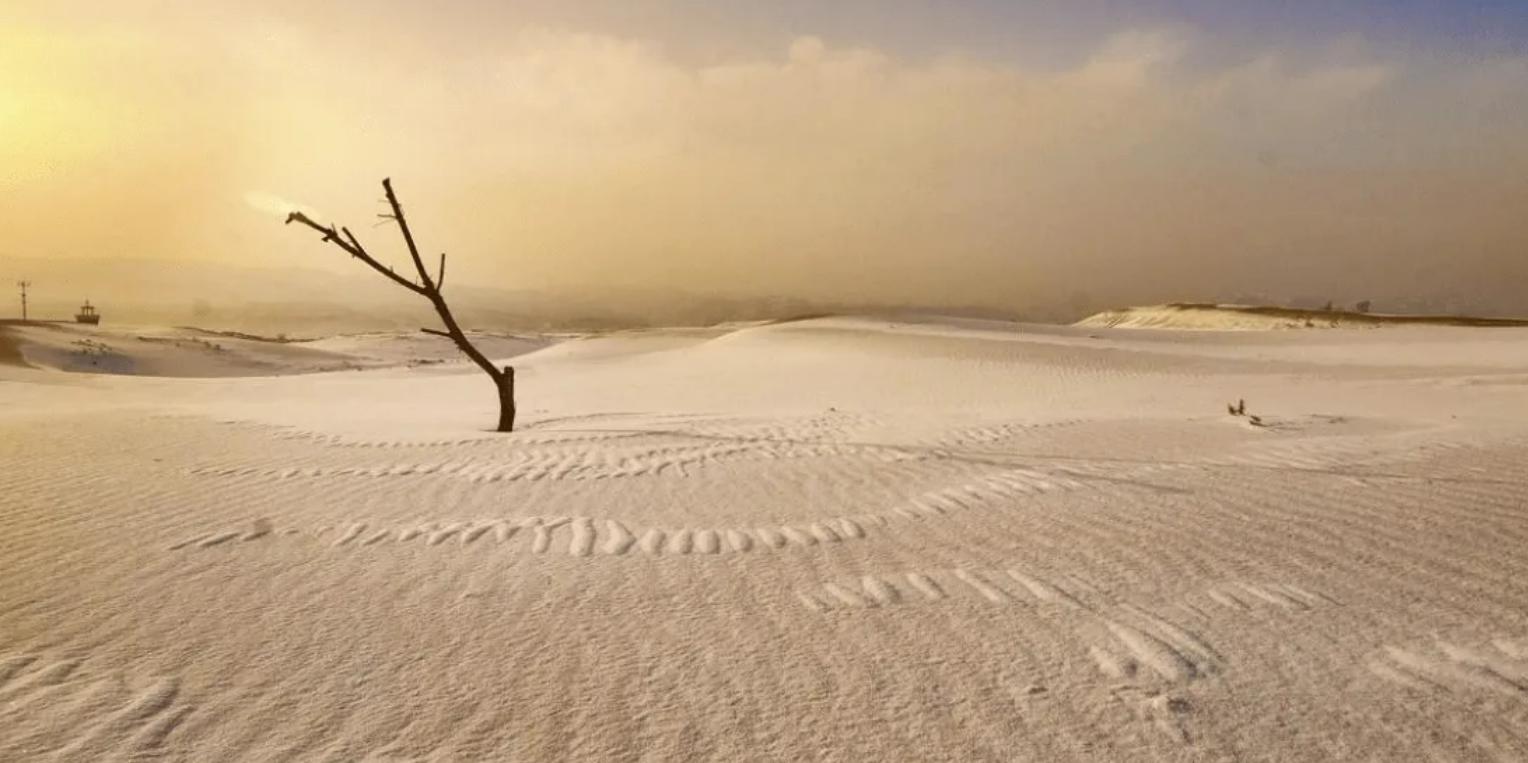 日本曾想用一斤米换一斤沙的沙漠，价值有多高？幸好我们拒绝了