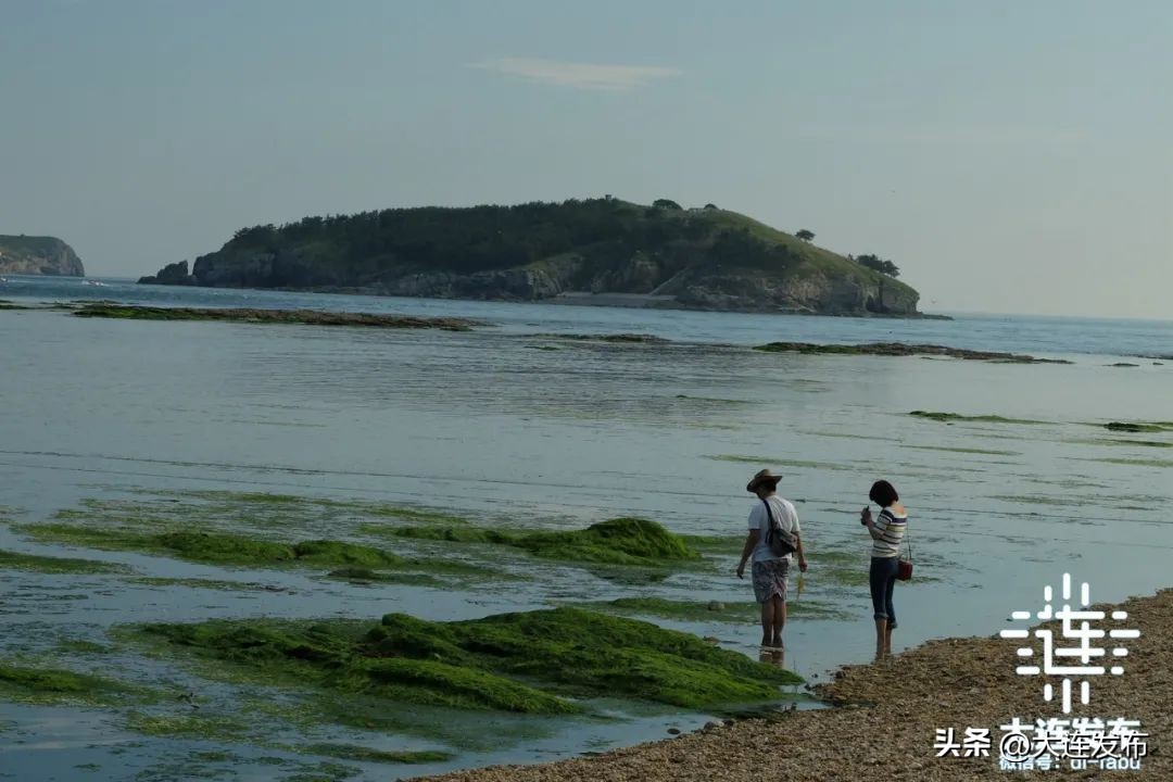 海上游大连项目,海上游大连全图