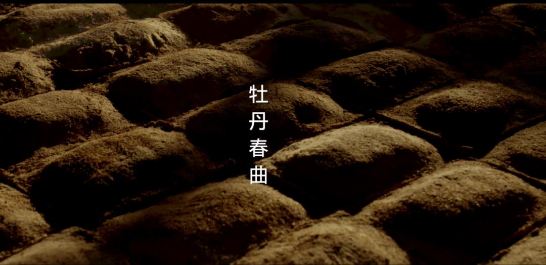 花冠酒二十年陈酿52度珍藏版评测,花冠酒系列儒雅香价格