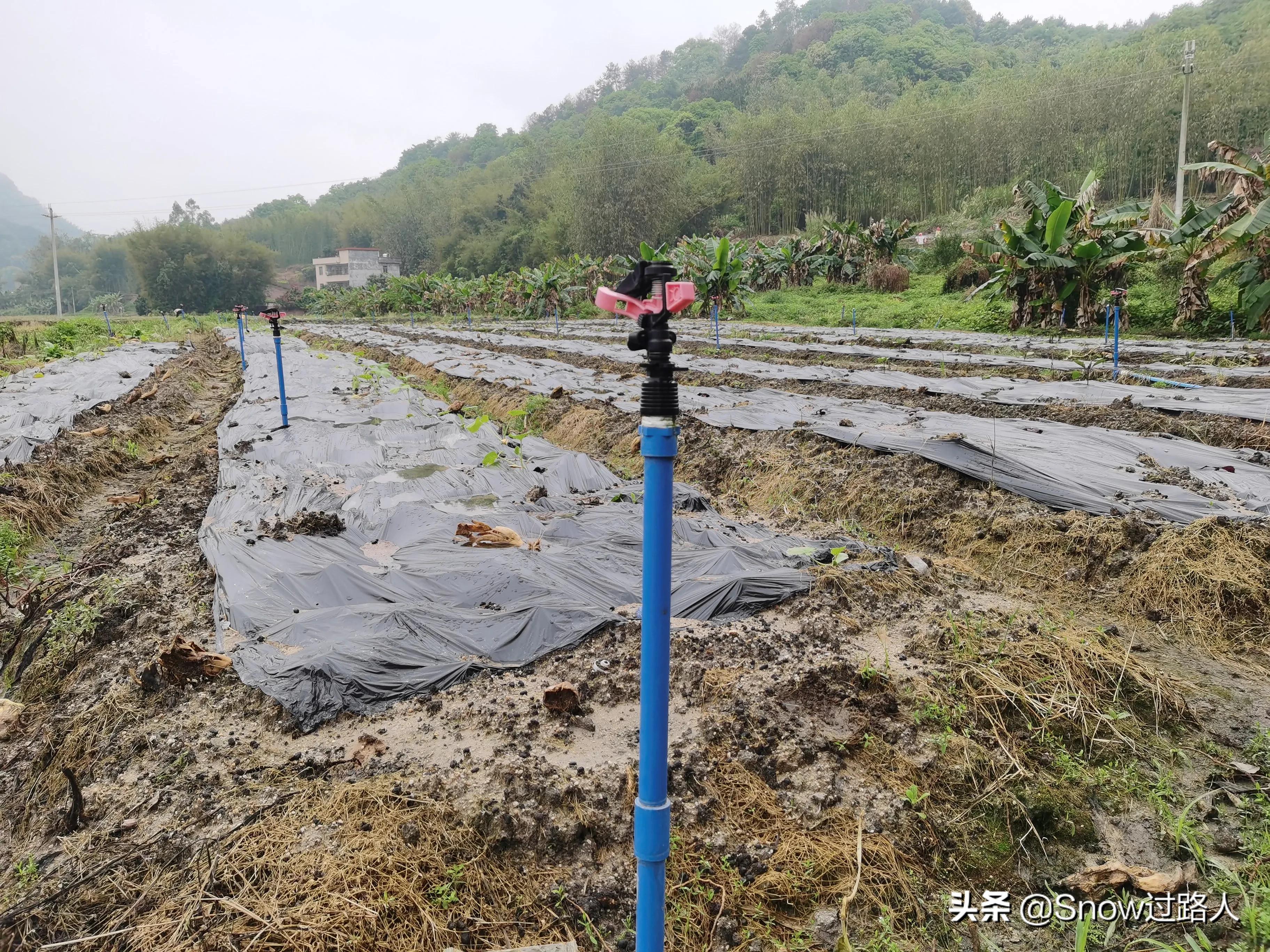 自主创业应该怎么做才好,自主创业的经验与分享