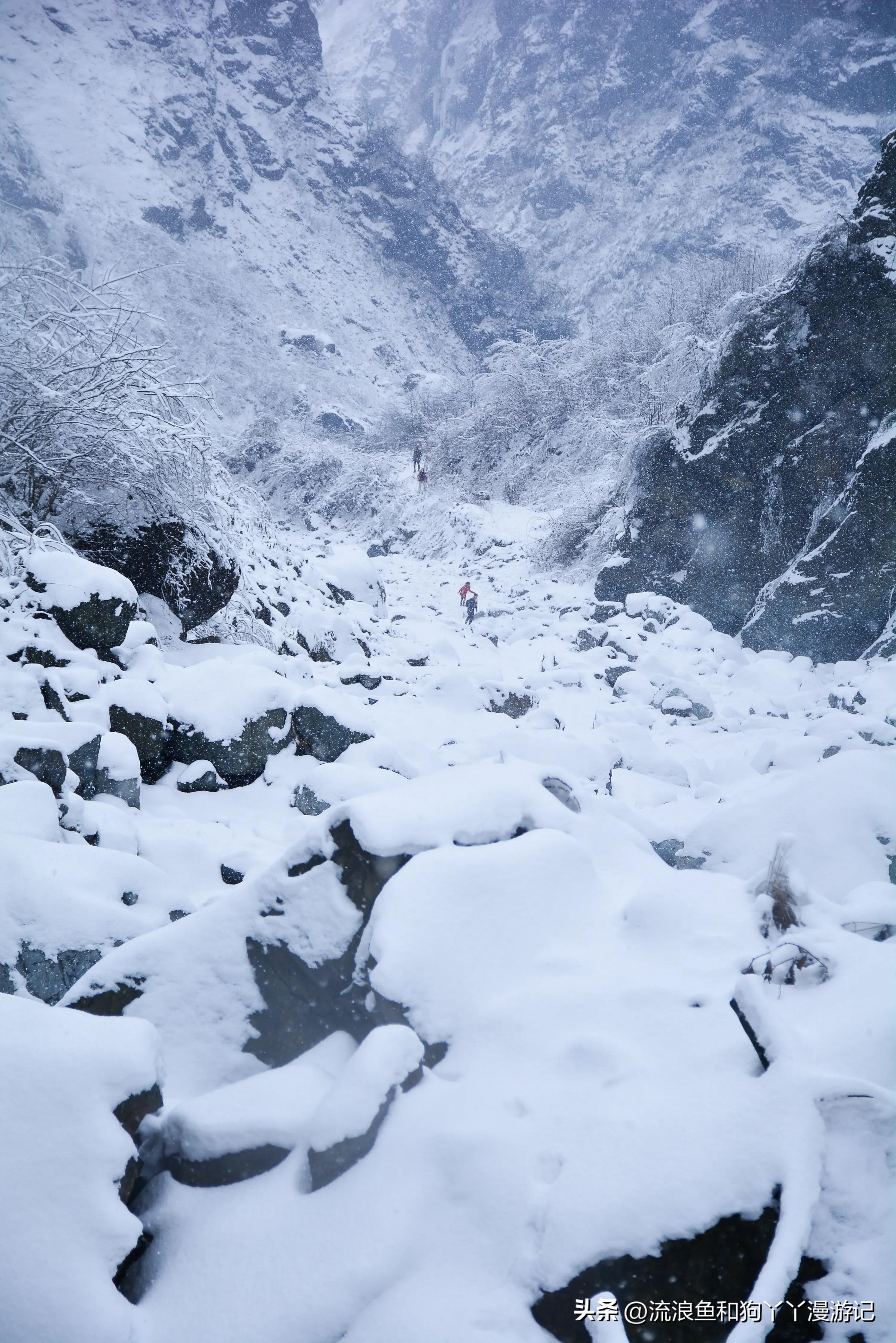 四月份成都近郊一日游好去处,2022成都近郊看雪一日游最佳去处