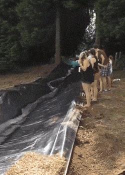 突然冒出一片气泡,突然冒了小小的水泡泡