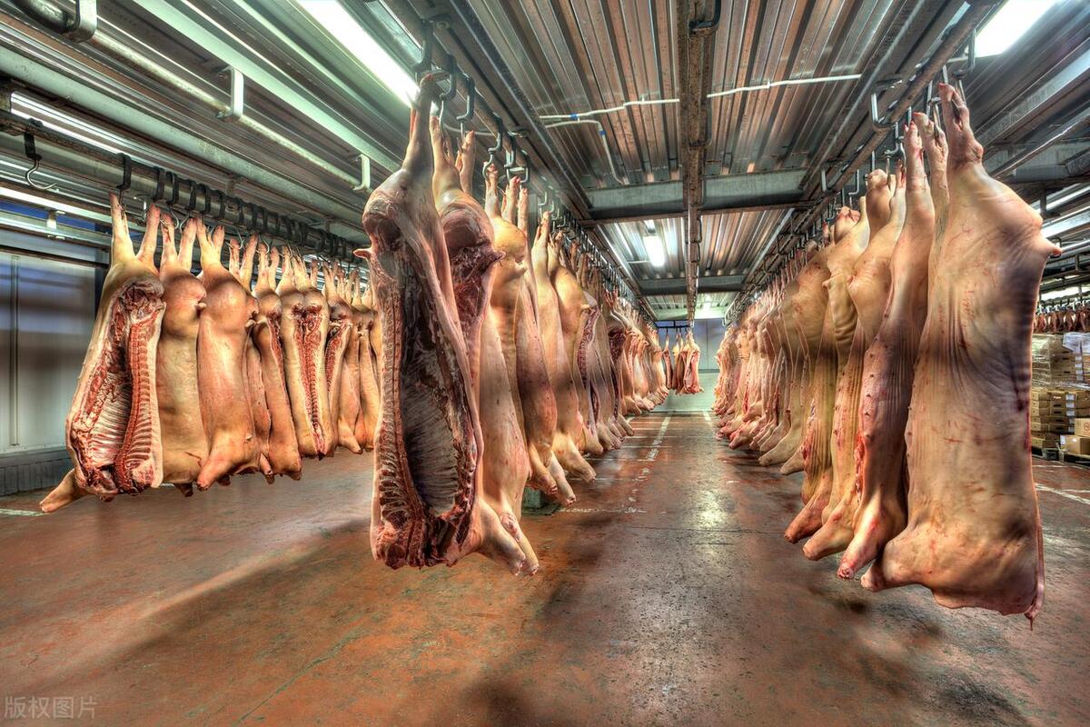 古代残忍程度最高的十种酷刑,西方古代最残忍的酷刑