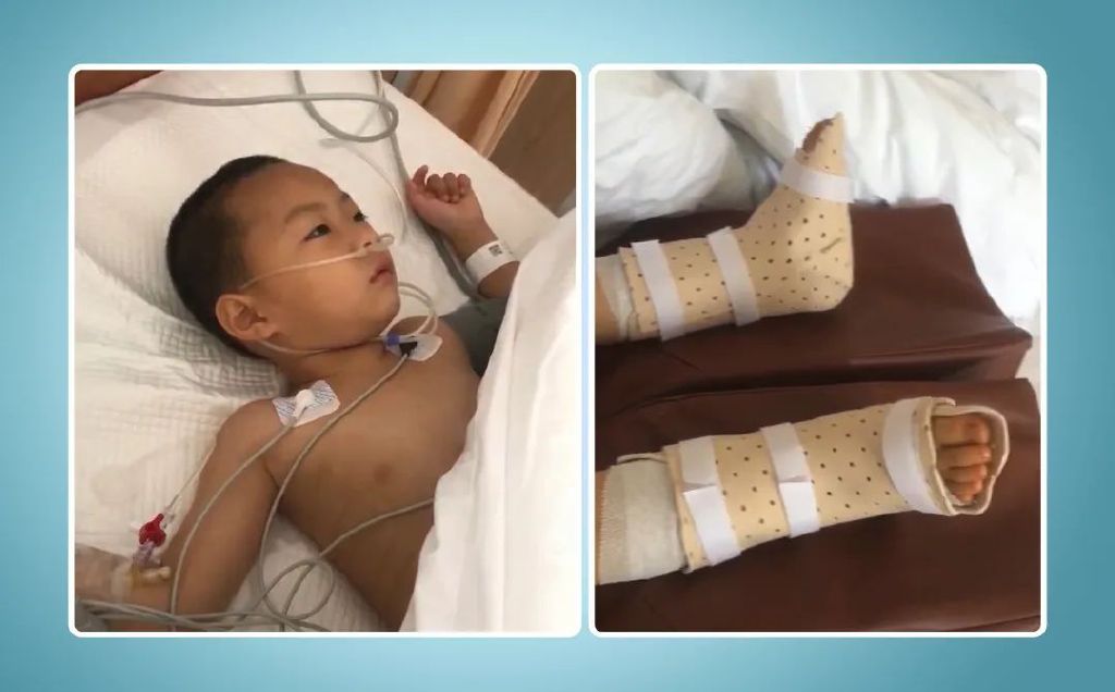 蜕变之路,蜕变之路英文版