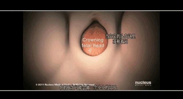 女人生宝宝的科普故事,科普关于女人生孩子