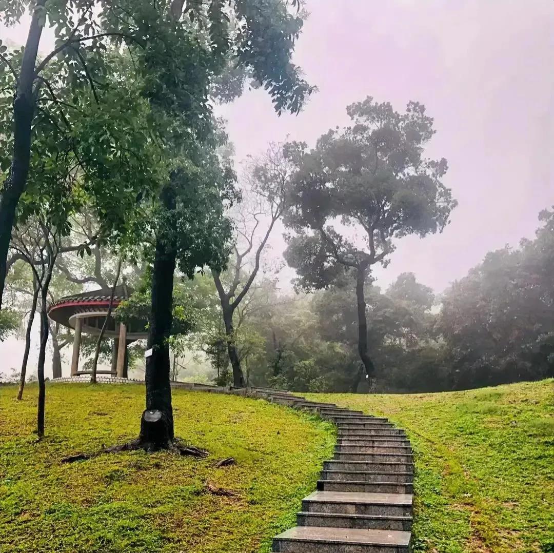 反噬小说最新章节列表,反噬2在线阅读