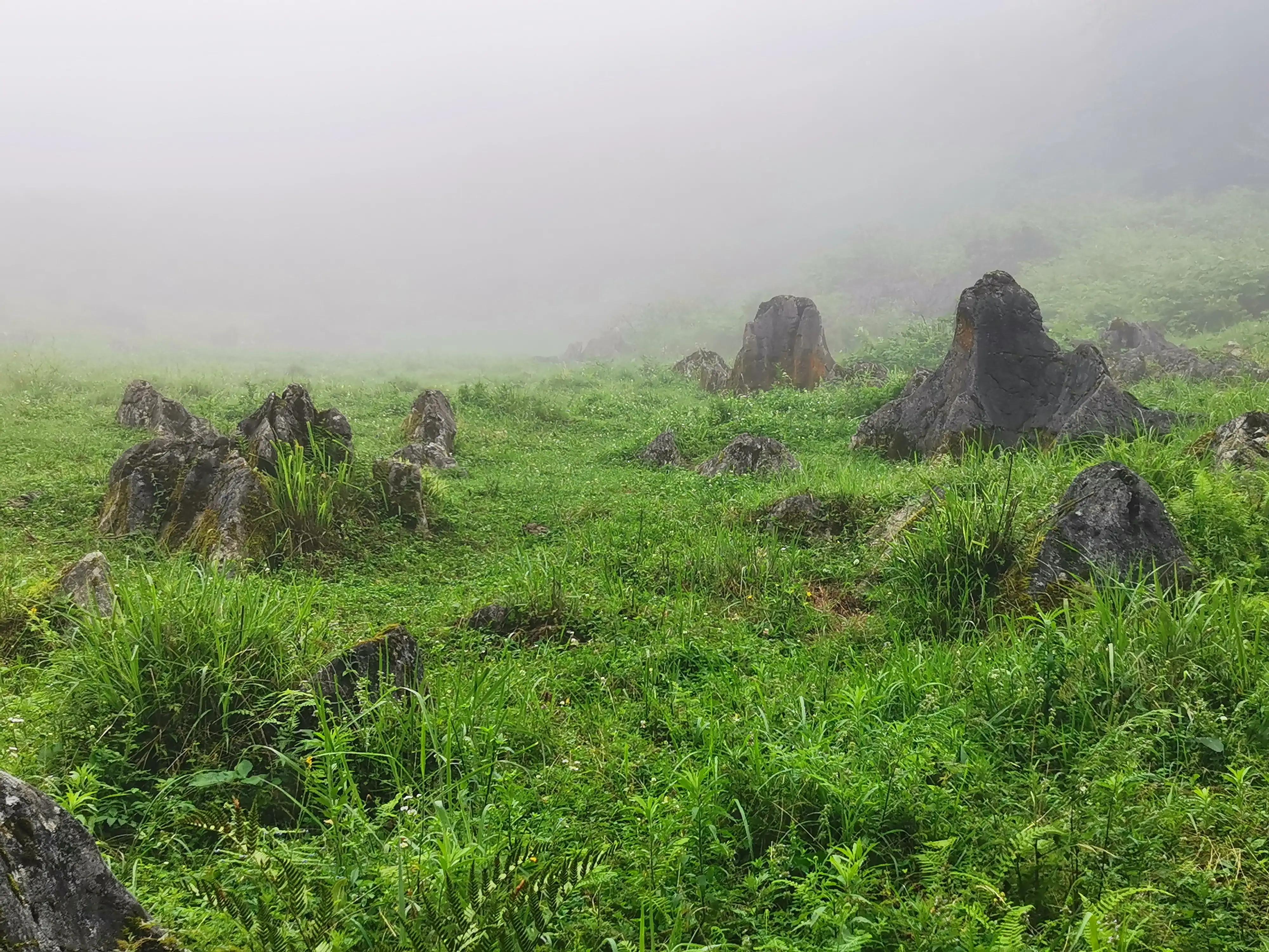 去贵州桐梓避暑哪里最好,桐梓包吃住避暑民宿