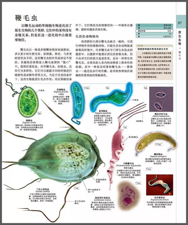 新东方直播间董宇辉录屏,新东方直播间董宇辉讲英语