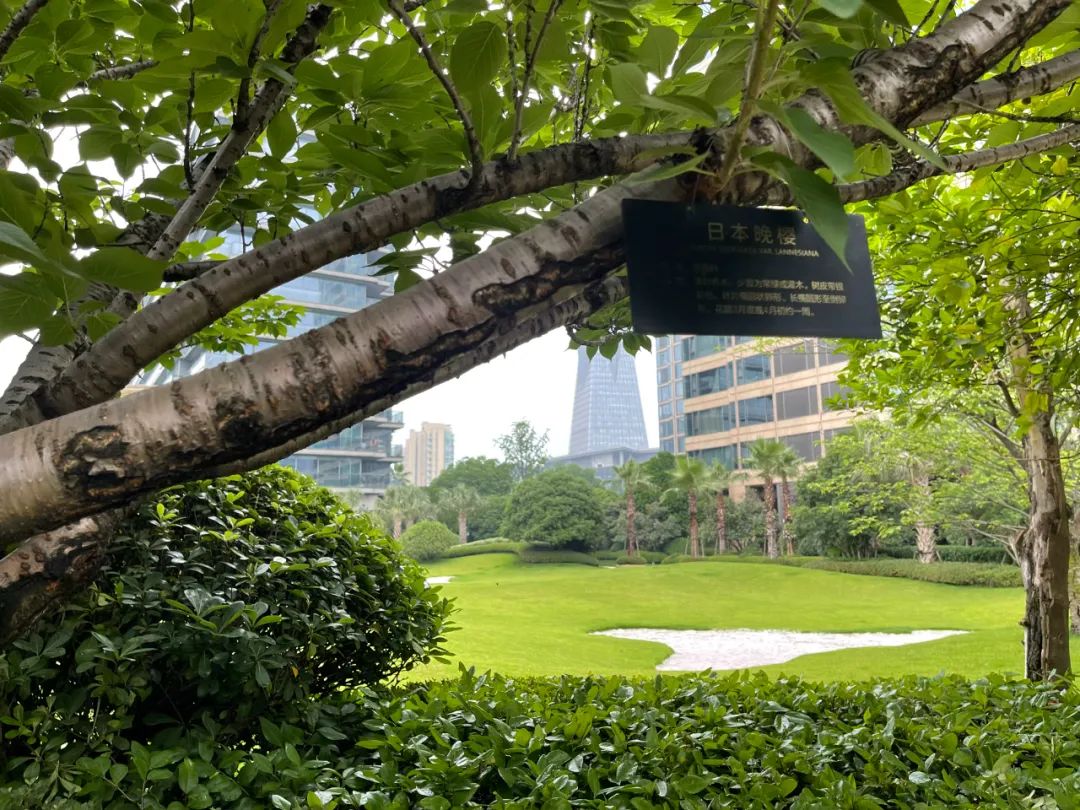 相爱相杀！滨江向左，绿城向右