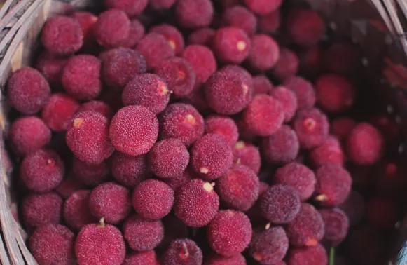 过年必买的10种年货推荐,有什么事明年再说