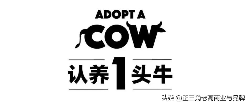 品牌1号位：卖点+卖价x,内容+场景+kol）