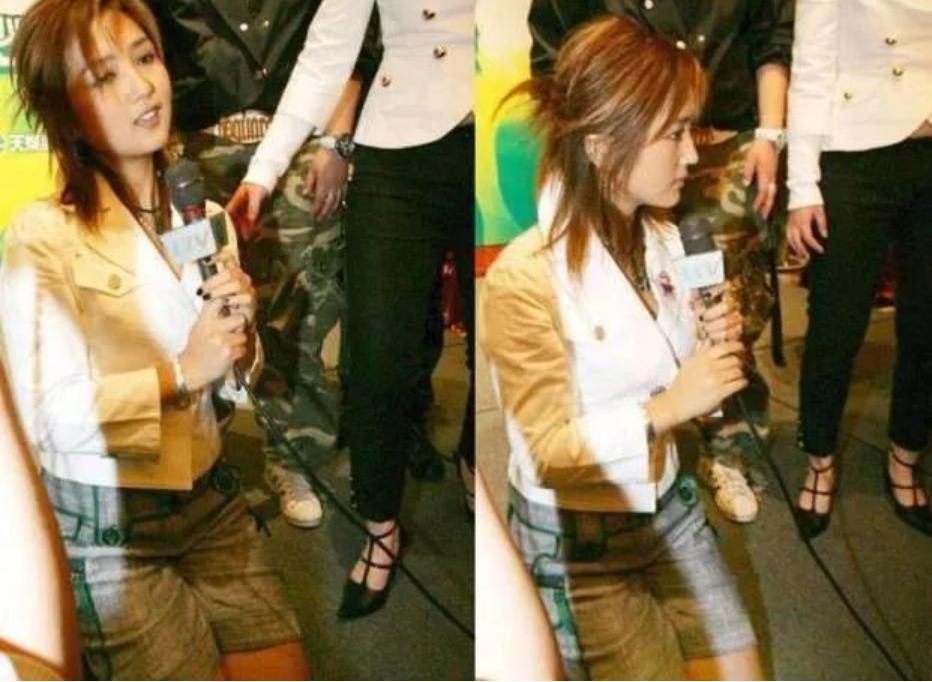 从爆红到无人问津苏醒,何洁当时的事业陷入了低迷期