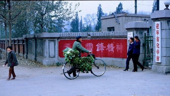 你不知道的二战史,你不知道的历史上最惨烈的战争