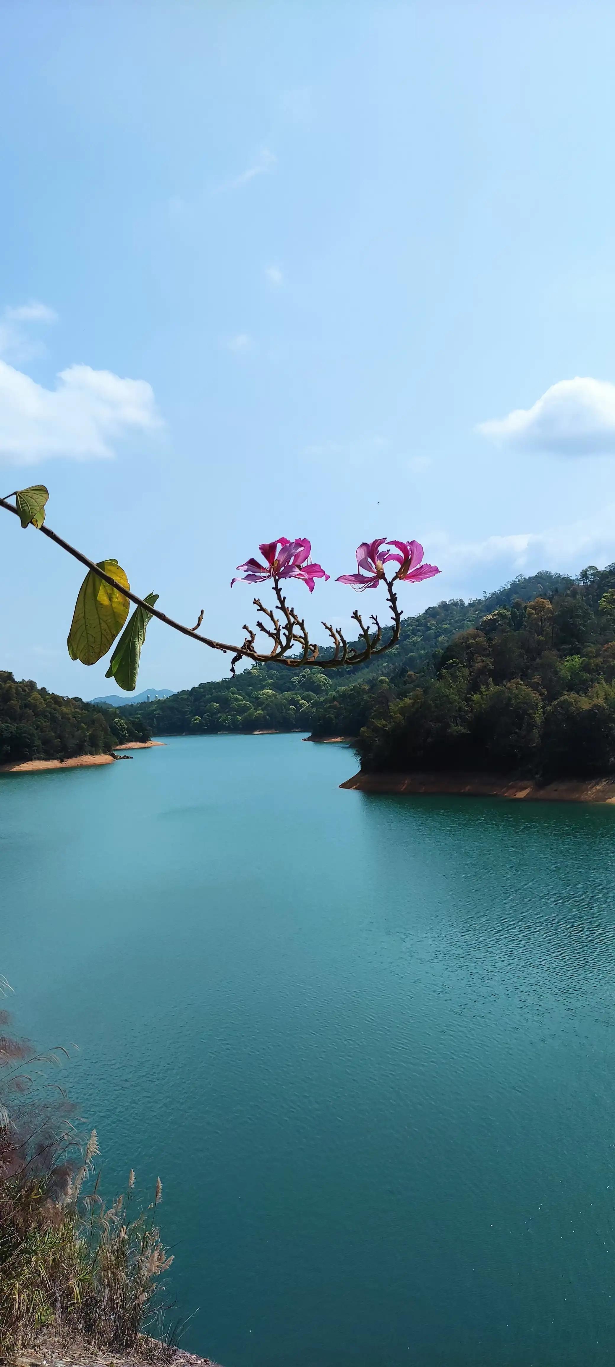 广州从化后花园,从化是广州的后花园吗