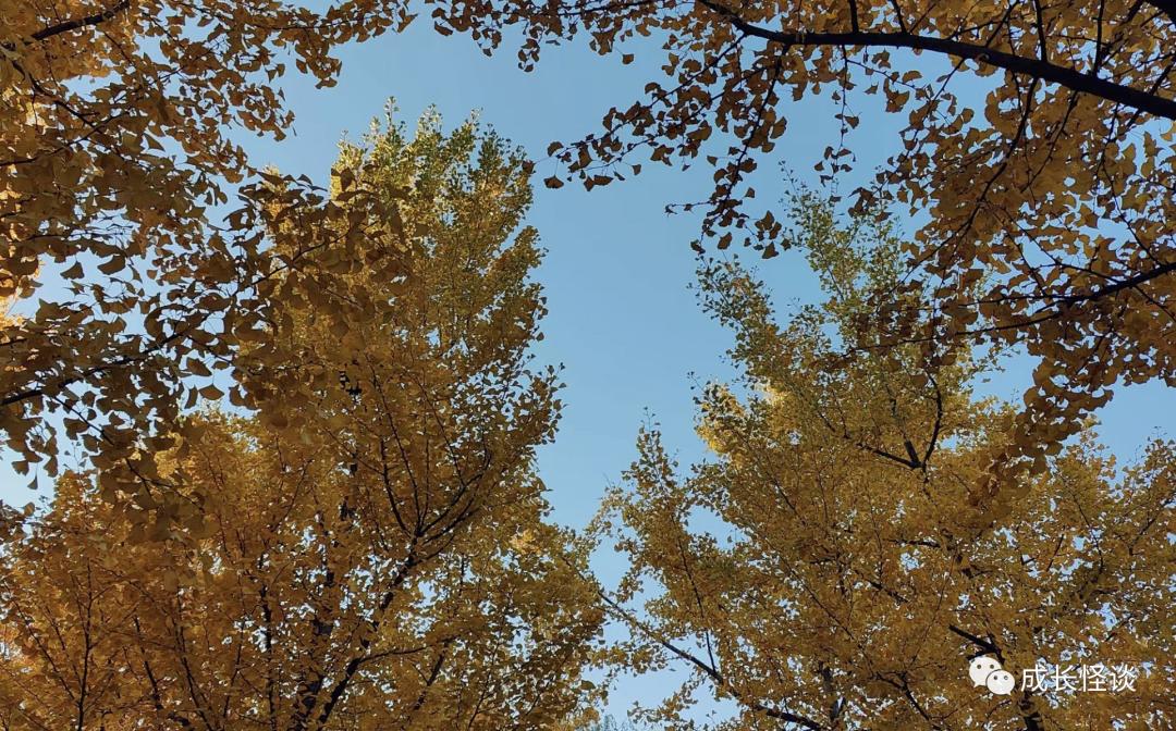 送往远方,从远方来的祝福