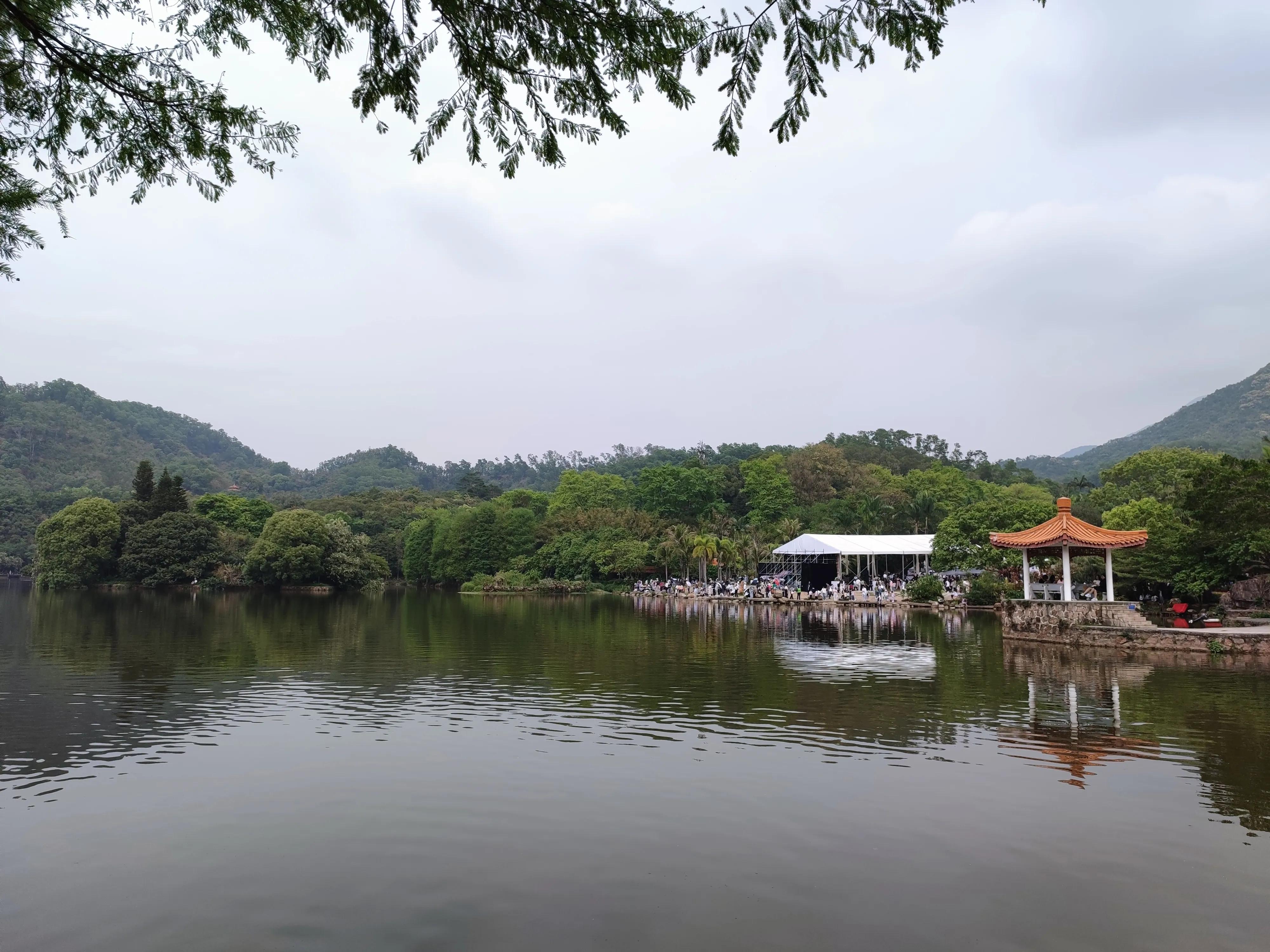 辟谷修仙记第6部：我对自己多狠呀！左一刀右一刀的砍自己