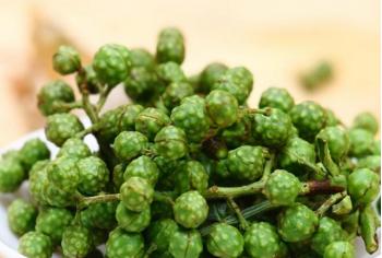 藤椒生长过程图片,藤椒是什么时候进入中国的