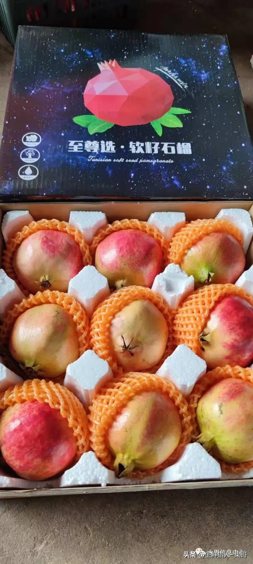 在水果中浆果是分哪几种,水果分类浆果