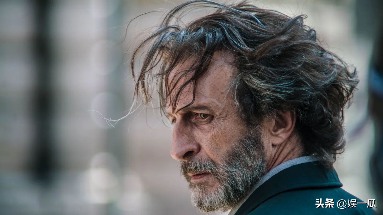 12月底最值得看的电影,11月份这7部电影值得看