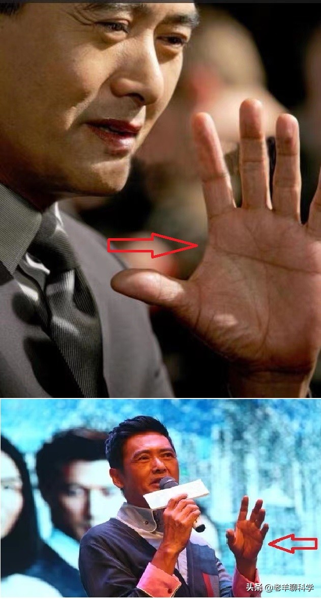 断掌纹有科学依据吗,男子一只手纹断掌好吗