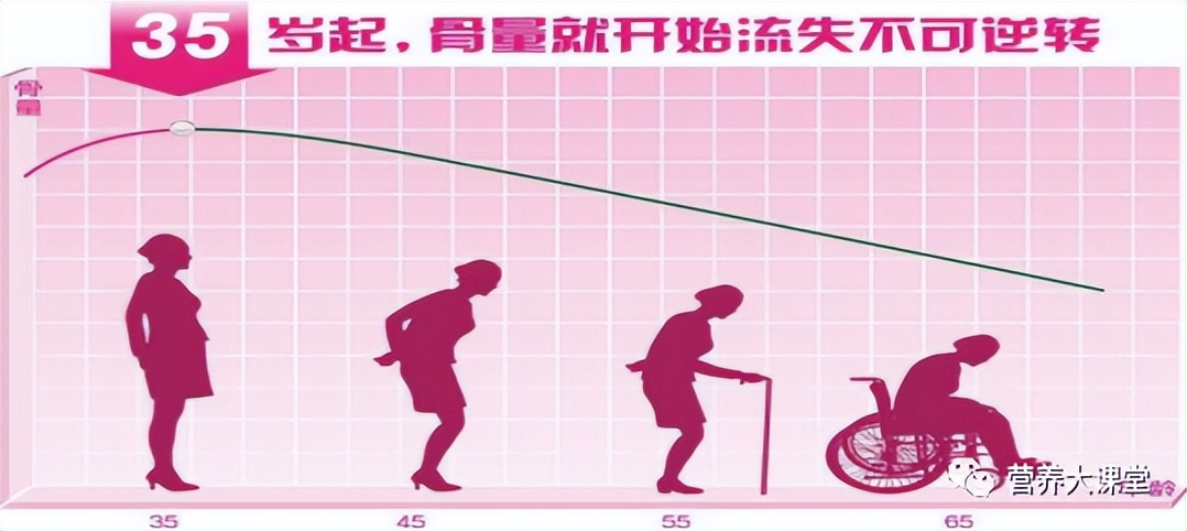 认识人体骨骼系统步骤与结论,带你了解骨骼健康
